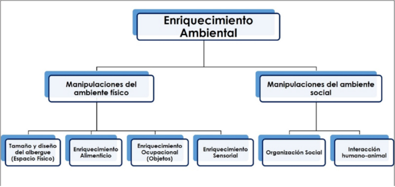 la importancia del refuerzo positivo en el enriquecimiento ambiental