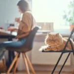 los beneficios de usar refuerzos graduales en el entrenamiento felino