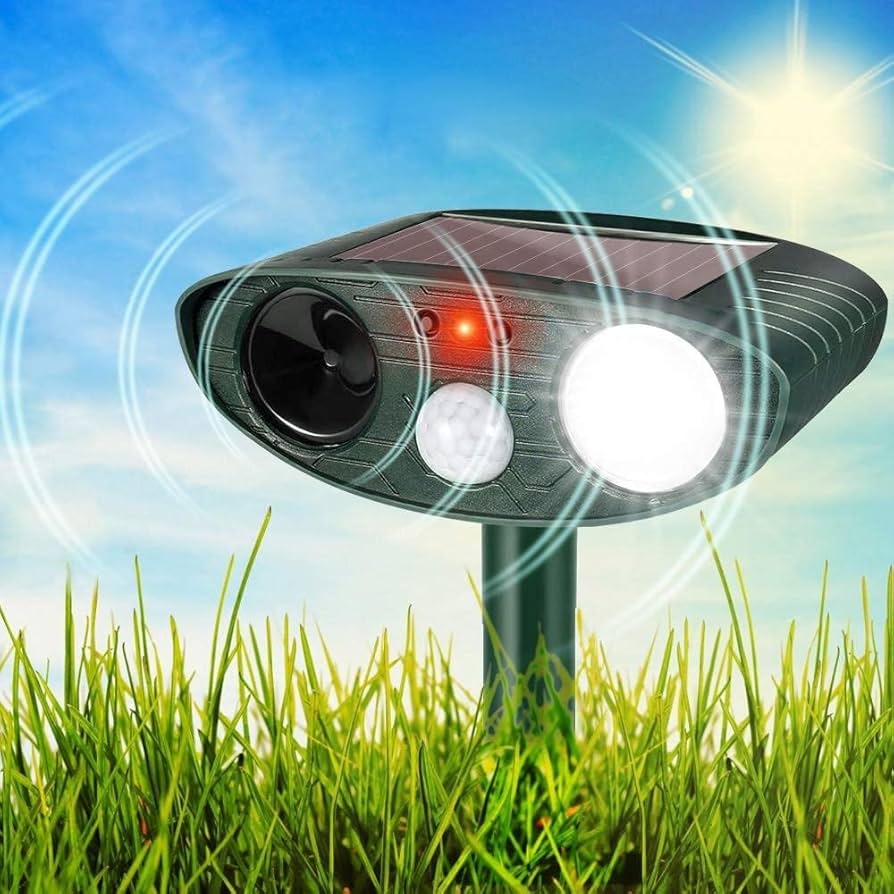 Métodos para calmar a gatos que se alteran con luces intermitentes