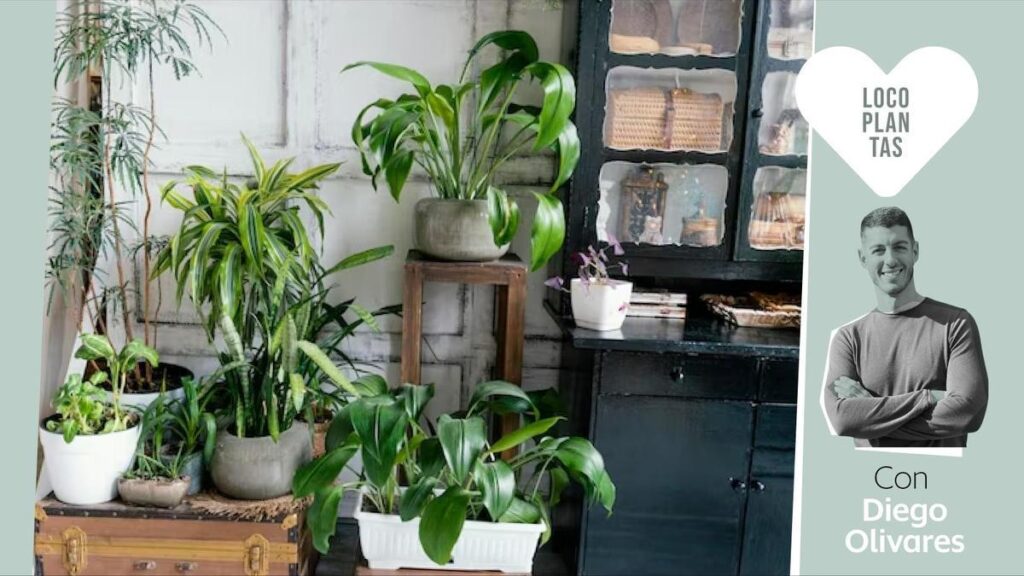 metodos para mejorar la convivencia en casas con multiples especies 1