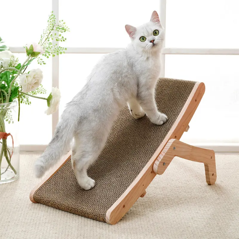 Métodos para mejorar la relación entre gatos que comparten un mismo rascador
