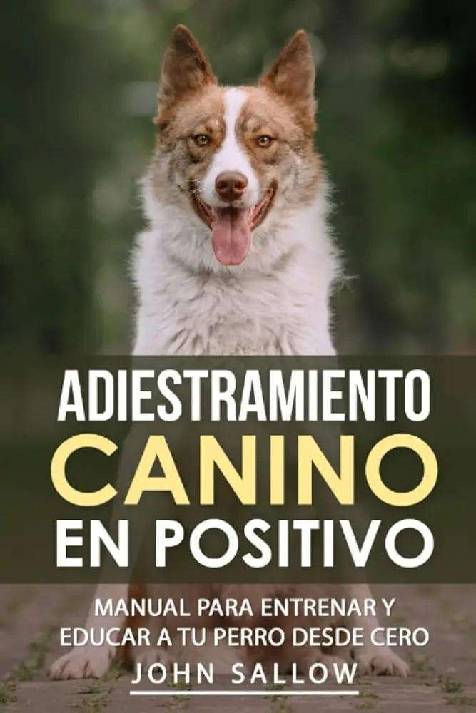 por que el entrenamiento positivo es mas efectivo que el castigo tradicional