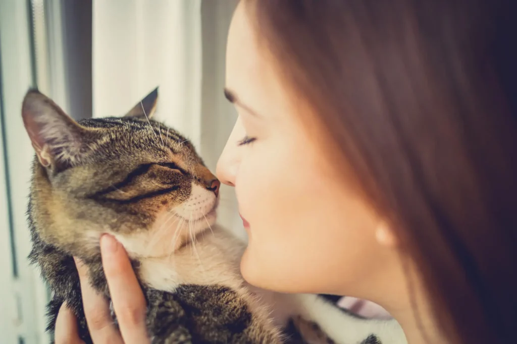 puede el entrenamiento positivo reducir la ansiedad en gatos