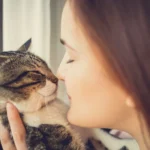 puede el entrenamiento positivo reducir la ansiedad en gatos