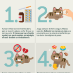 Qué Hacer si Tu Gato Evita el Contacto con Otros Animales 6 que hacer si tu gato evita el contacto con otros animales