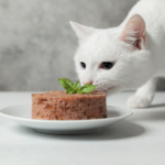 que hacer si tu gato no se adapta a cambios en su comida