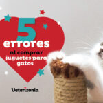 Qué Hacer si Tu Gato No Usa los Juguetes que Compras 5 que hacer si tu gato no usa los juguetes que compras