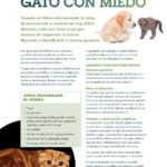 Qué Hacer si Tu Gato Tiene Miedo a los Niños 6 que hacer si tu gato tiene miedo a los ninos