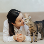 Socialización de Gatos con Personalidades Distintas: Claves del Éxito 5 socializacion de gatos con personalidades distintas claves del exito
