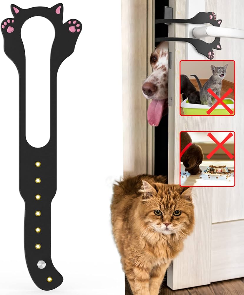 Técnicas de refuerzo para gatos que insisten en abrir puertas 13 tecnicas de refuerzo para gatos que insisten en abrir puertas 1