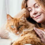 tecnicas para calmar a tu gato durante visitas prolongadas en casa 1