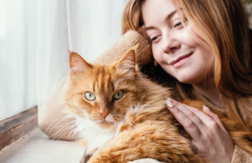 Técnicas para calmar a tu gato durante visitas prolongadas en casa 22 tecnicas para calmar a tu gato durante visitas prolongadas en casa 1