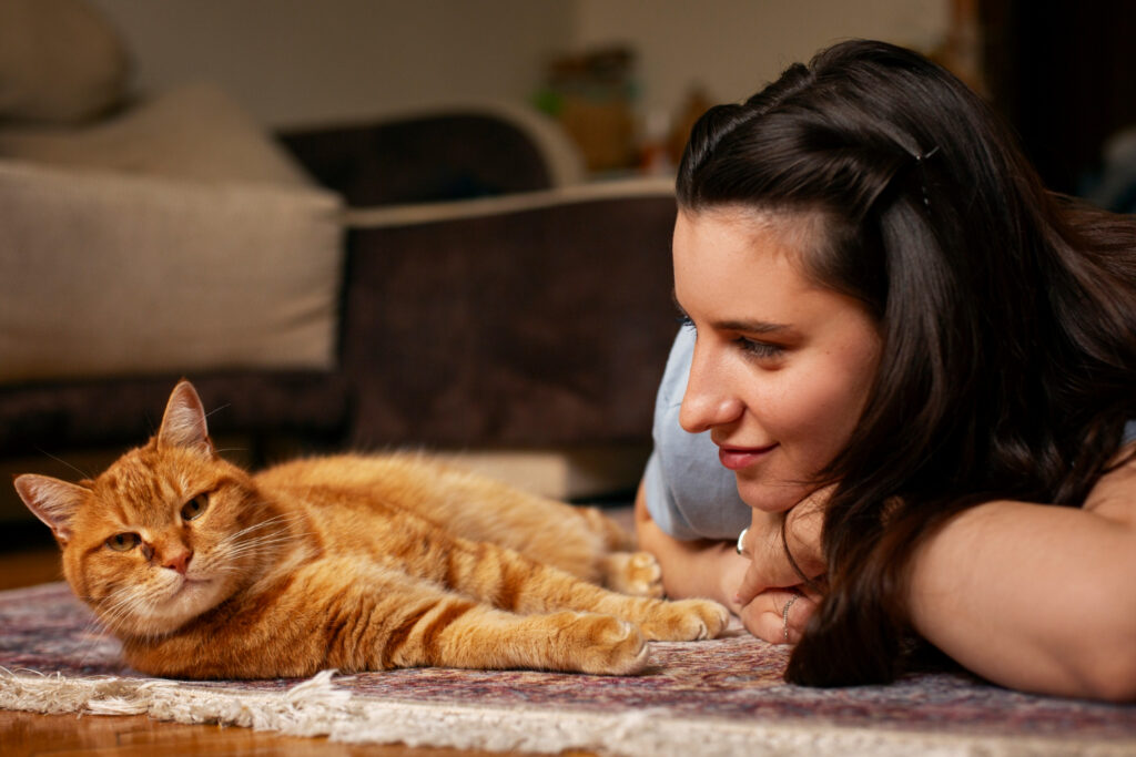 tecnicas para prevenir el comportamiento posesivo en gatos al compartir juguetes 1