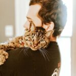trucos para manejar la ansiedad por separacion en gatos